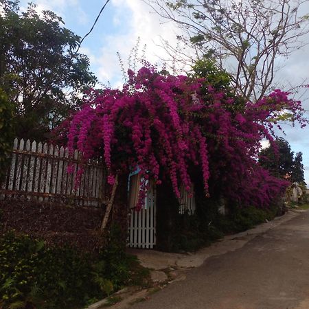 Ly'S Homestay Gia Nghĩa 외부 사진